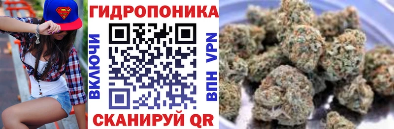 Шишки марихуана VHQ  даркнет сайт  Тогучин 